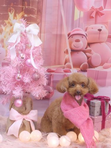 20241220永遠ちゃん